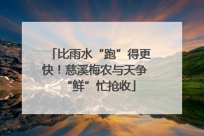 比雨水“跑”得更快！慈溪梅农与天争“鲜”忙抢收
