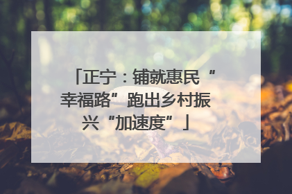 正宁：铺就惠民“幸福路”跑出乡村振兴“加速度”