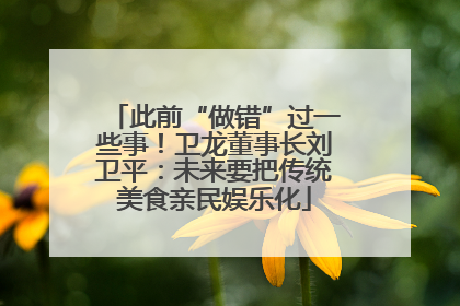 此前“做错”过一些事！卫龙董事长刘卫平：未来要把传统美食亲民娱乐化