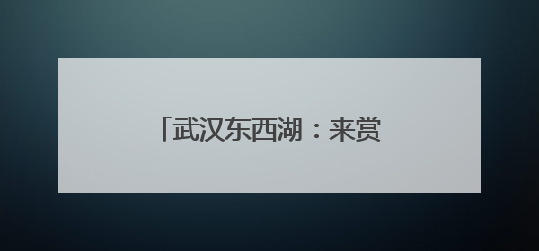 武汉东西湖：来赏荷吧，包好看的