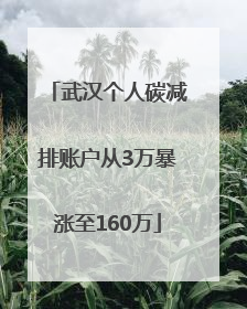 武汉个人碳减排账户从3万暴涨至160万