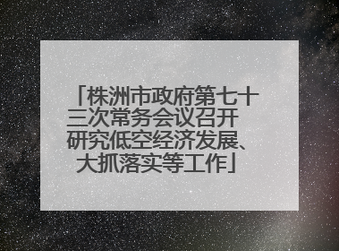 株洲市政府第七十三次常务会议召开 研究低空经济发展、大抓落实等工作