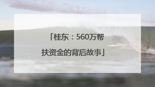 桂东：560万帮扶资金的背后故事