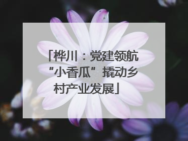 桦川：党建领航“小香瓜”撬动乡村产业发展