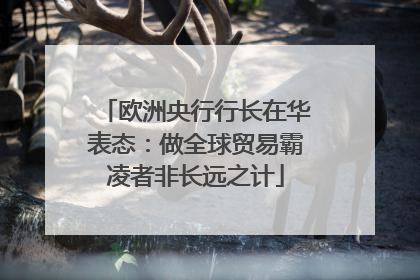 欧洲央行行长在华表态：做全球贸易霸凌者非长远之计