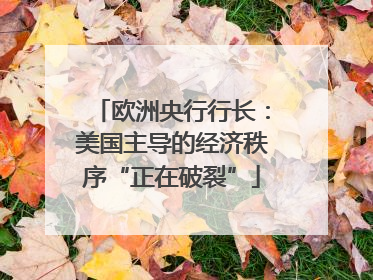 欧洲央行行长：美国主导的经济秩序“正在破裂”