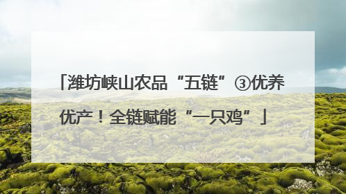 潍坊峡山农品“五链”③优养优产！全链赋能“一只鸡”
