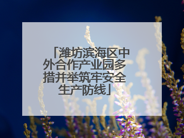 潍坊滨海区中外合作产业园多措并举筑牢安全生产防线