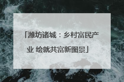 潍坊诸城：乡村富民产业 绘就共富新图景