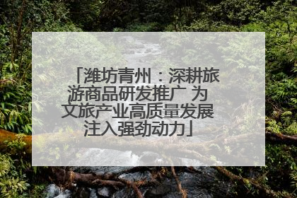 潍坊青州：深耕旅游商品研发推广 为文旅产业高质量发展注入强劲动力