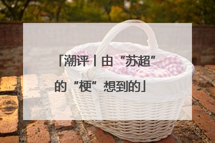 潮评丨由“苏超”的“梗”想到的