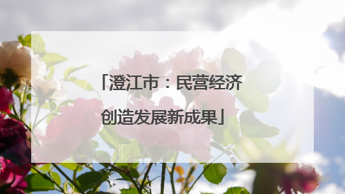 澄江市：民营经济创造发展新成果