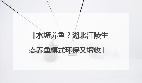 水塘养鱼？湖北江陵生态养鱼模式环保又增收
