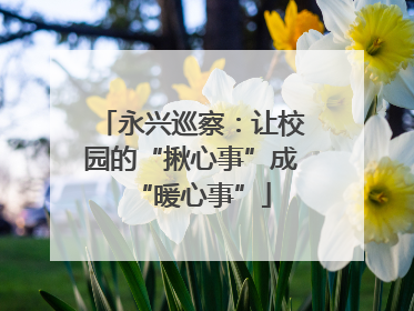 永兴巡察：让校园的“揪心事”成“暖心事”