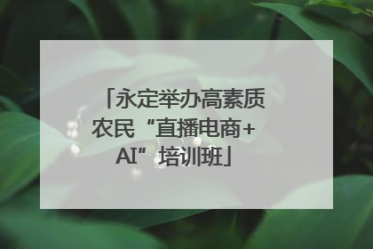 永定举办高素质农民“直播电商+AI”培训班