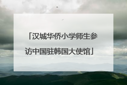 汉城华侨小学师生参访中国驻韩国大使馆