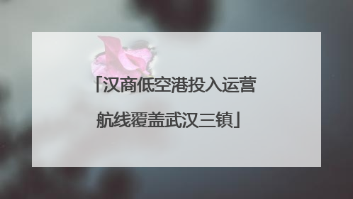 汉商低空港投入运营 航线覆盖武汉三镇