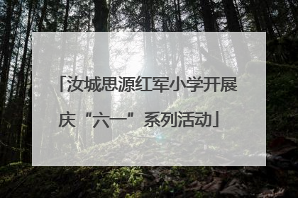 汝城思源红军小学开展庆“六一”系列活动