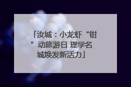 汝城：小龙虾“钳”动旅游日 理学名城焕发新活力