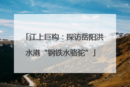 江上巨构：探访岳阳洪水港“钢铁水骆驼”