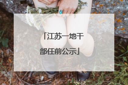 江苏一地干部任前公示