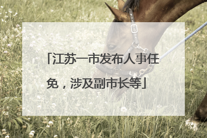 江苏一市发布人事任免，涉及副市长等