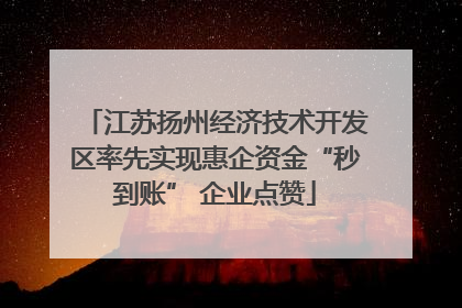 江苏扬州经济技术开发区率先实现惠企资金“秒到账” 企业点赞