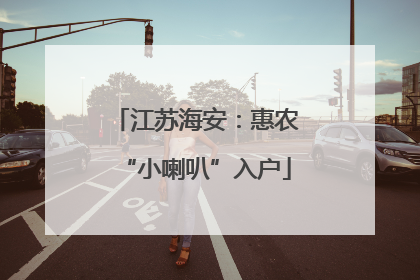 江苏海安：惠农“小喇叭”入户