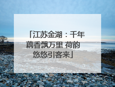 江苏金湖：千年藕香飘万里 荷韵悠悠引客来