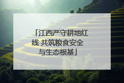 江西严守耕地红线 共筑粮食安全与生态根基