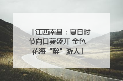 江西南昌：夏日时节向日葵盛开 金色花海“醉”游人