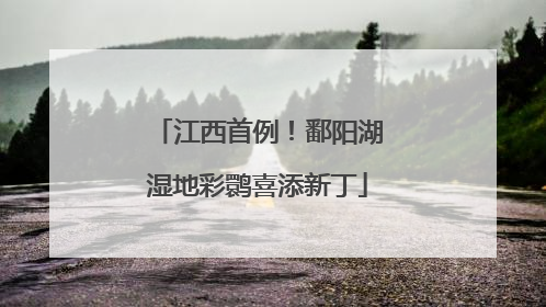 江西首例！鄱阳湖湿地彩鹮喜添新丁
