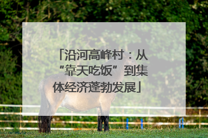 沿河高峰村：从“靠天吃饭”到集体经济蓬勃发展