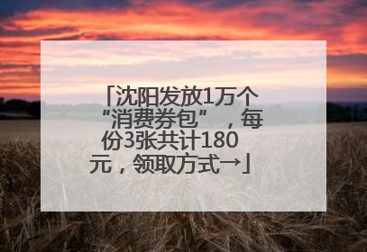 沈阳发放1万个“消费券包”，每份3张共计180元，领取方式→