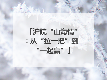沪皖“山海情”：从“拉一把”到“一起赢”