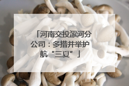 河南交投漯河分公司：多措并举护航“三夏”