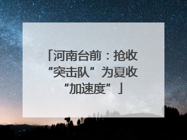 河南台前：抢收“突击队”为夏收“加速度”