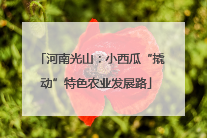 河南光山：小西瓜“撬动”特色农业发展路