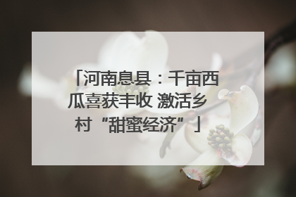 河南息县：千亩西瓜喜获丰收 激活乡村“甜蜜经济”