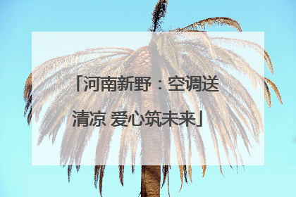 河南新野：空调送清凉 爱心筑未来