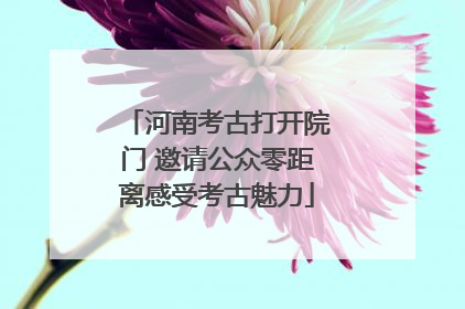 河南考古打开院门 邀请公众零距离感受考古魅力