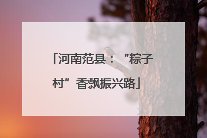 河南范县：“粽子村”香飘振兴路