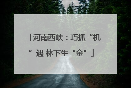 河南西峡：巧抓“机”遇 林下生“金”