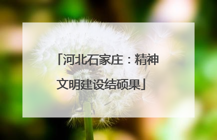 河北石家庄：精神文明建设结硕果