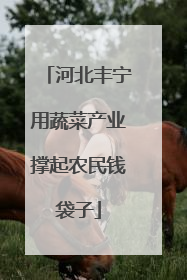 河北丰宁用蔬菜产业撑起农民钱袋子