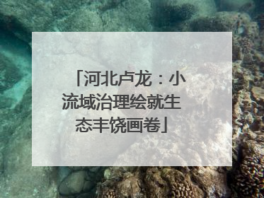 河北卢龙：小流域治理绘就生态丰饶画卷
