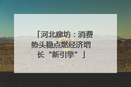 河北廊坊：消费势头稳点燃经济增长“新引擎”