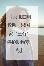河北曲周救助一只国家“三有”保护动物翠鸟