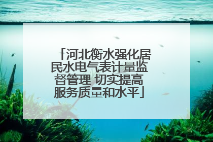 河北衡水强化居民水电气表计量监督管理 切实提高服务质量和水平