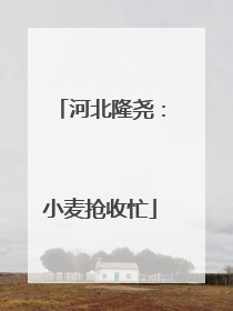 河北隆尧：小麦抢收忙